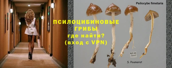 mdpv Алзамай