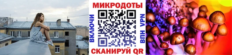 Псилоцибиновые грибы Psilocybine cubensis  darknet состав  кракен   Салехард  закладки 